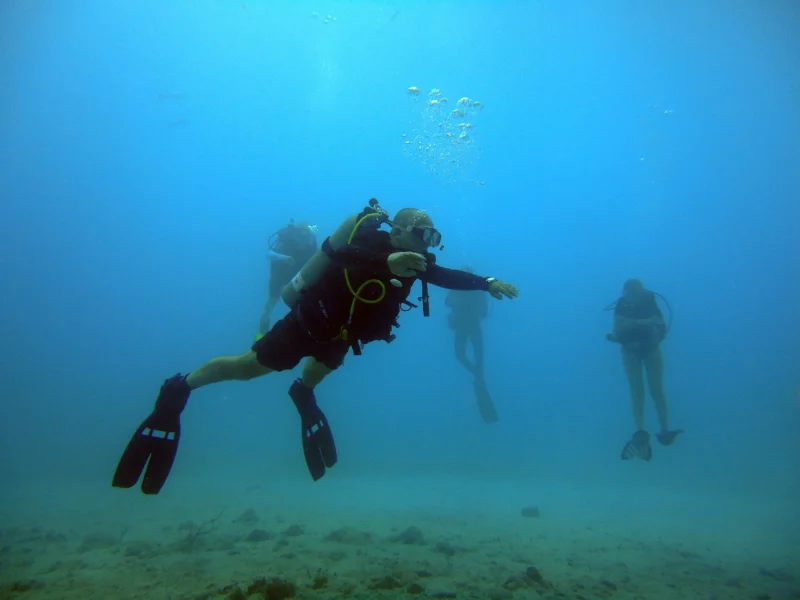 Group of scuba divers above the seabed