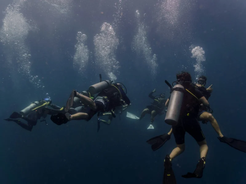 Divers swimming together